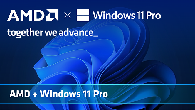 AMD + WINDOWS 11 PRO